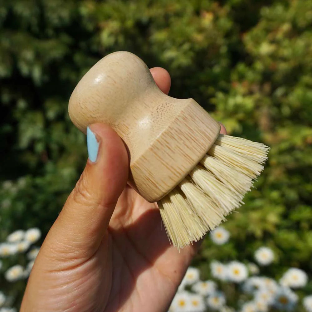 Natural Wood Hard Bristle Brush
